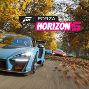 best rally car forza horizon 5